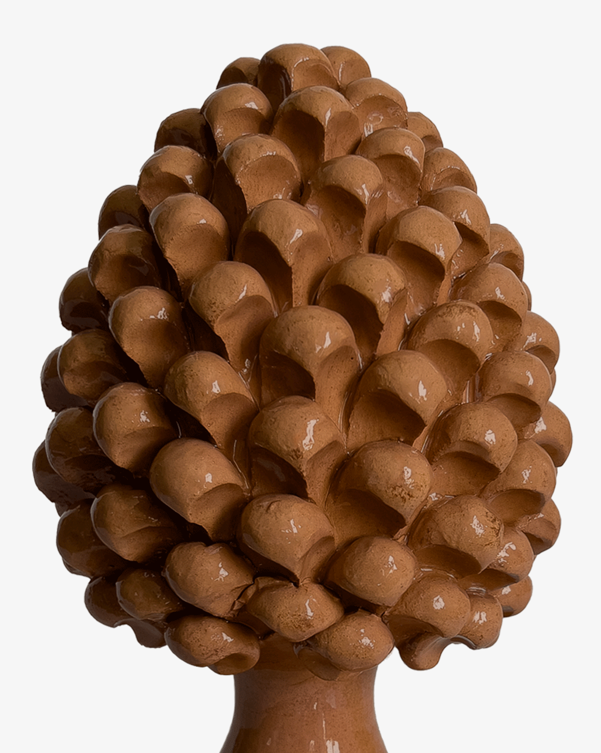 Pinienzapfen